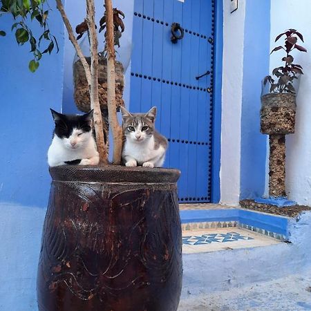 Riad Chourafa Chefchaouen Extérieur photo
