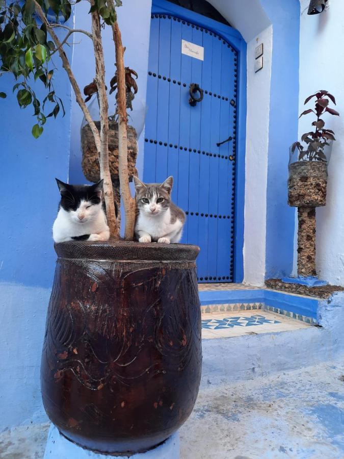Riad Chourafa Chefchaouen Extérieur photo